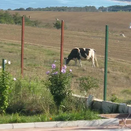 Belvedere Gæstehus Byala (Varna)